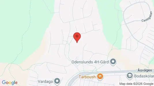 Apartments for rent i Borås - kort over placeringen