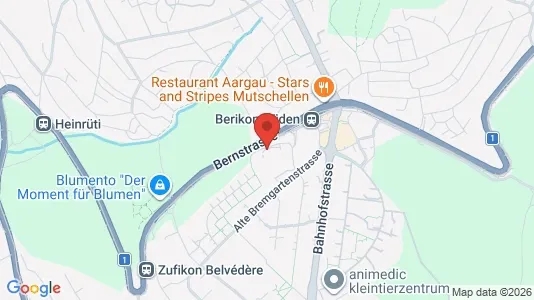 Apartments for rent i Bremgarten - kort over placeringen