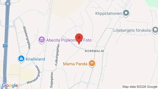 Apartments for rent i Borås - kort over placeringen