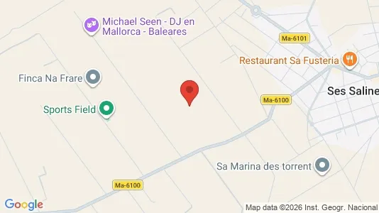 Apartments for rent i Ses Salines - kort over placeringen