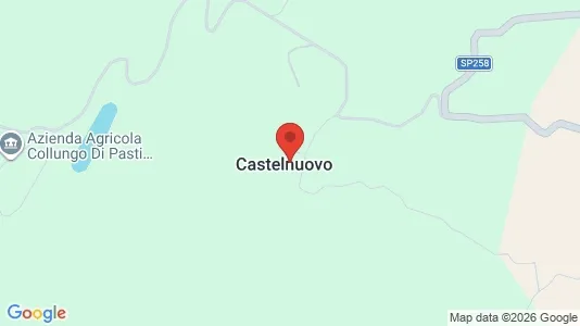 Apartments for rent i Pieve Santo Stefano - kort over placeringen