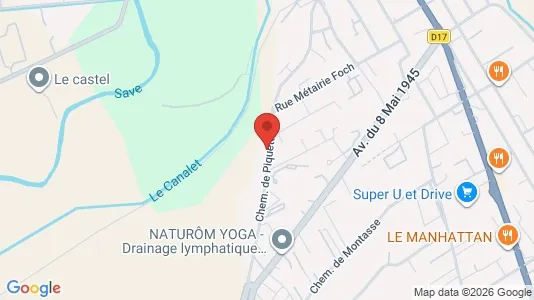 Apartments for rent i Toulouse - kort over placeringen