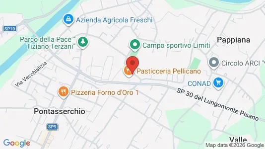 Apartments for rent i San Giuliano Terme - kort over placeringen
