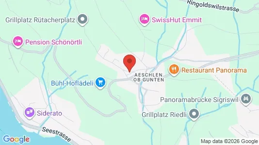 Apartments for rent i Thun - kort over placeringen