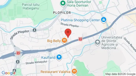 Apartments for rent i Cluj-Napoca - kort over placeringen