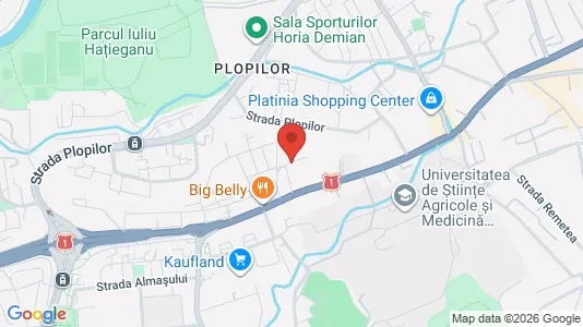 Apartments for rent i Cluj-Napoca - kort over placeringen