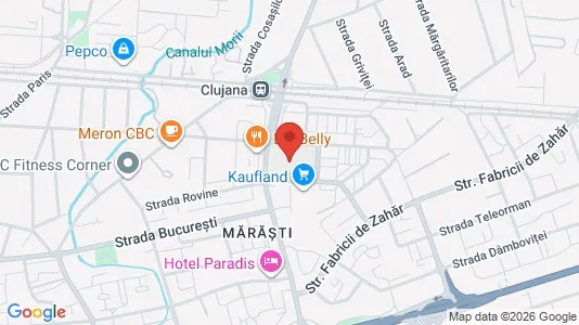 Apartments for rent i Cluj-Napoca - kort over placeringen