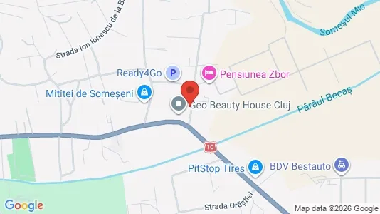 Apartments for rent i Cluj-Napoca - kort over placeringen