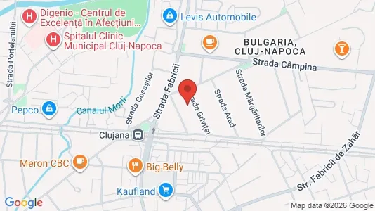 Apartments for rent i Cluj-Napoca - kort over placeringen