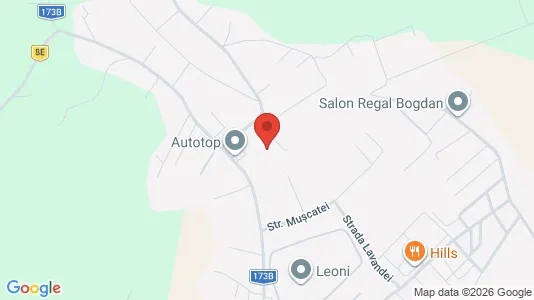 Apartments for rent i Bistriţa - kort over placeringen