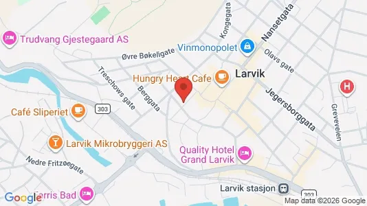 Apartments for rent i Larvik - kort over placeringen