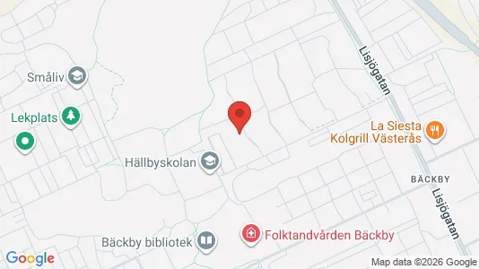 Apartments for rent i Västerås - kort over placeringen