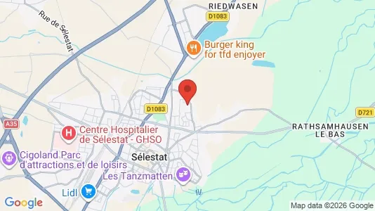 Apartments for rent i Sélestat-Erstein - kort over placeringen