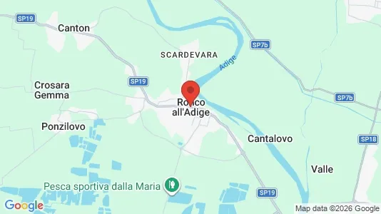Apartments for rent i Ronco all'Adige - kort over placeringen