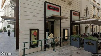Apartments for rent in Vienna Innere Stadt - Photo from Google Street View