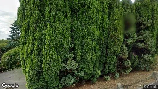 Apartments for rent in Lisburn - County Antrim - Photo from Google Street View