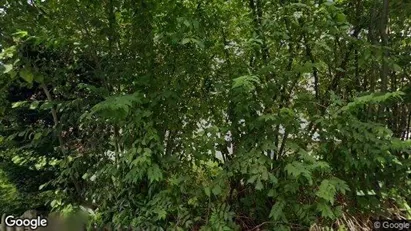 Apartments for rent in Bern-Mittelland - Photo from Google Street View