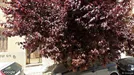 Apartment for rent, Patras, Western Greece, &lt;span class=&quot;blurred street&quot; onclick=&quot;ProcessAdRequest(13374094)&quot;&gt;&lt;span class=&quot;hint&quot;&gt;See streetname&lt;/span&gt;[xxxxxxxxxxxxx]&lt;/span&gt;