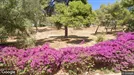 Apartment for rent, Vari-Voula-Vouliagmeni, Attica, &lt;span class=&quot;blurred street&quot; onclick=&quot;ProcessAdRequest(13438568)&quot;&gt;&lt;span class=&quot;hint&quot;&gt;See streetname&lt;/span&gt;[xxxxxxxxxxxxx]&lt;/span&gt;