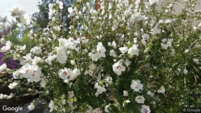 Apartments for rent in Forte dei Marmi - Photo from Google Street View