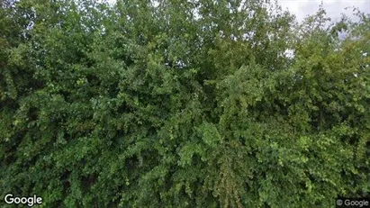 Rooms for rent in Lievegem - Photo from Google Street View
