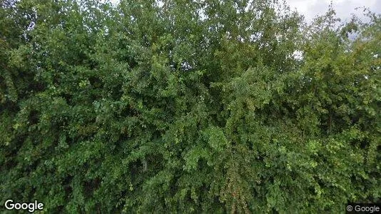 Rooms for rent in Lievegem - Photo from Google Street View