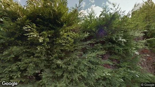 Apartments for rent in Koksijde - Photo from Google Street View