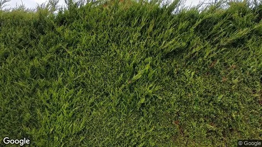 Apartments for rent in Marlow - Buckinghamshire - Photo from Google Street View