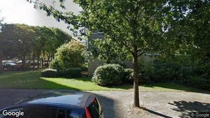 Apartments for rent in Haarlem - Photo from Google Street View