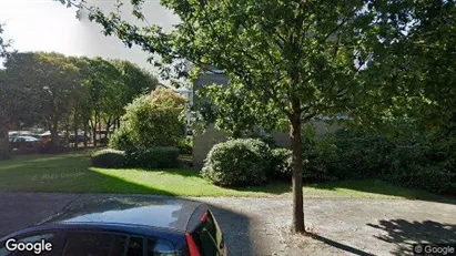 Apartments for rent in Haarlem - Photo from Google Street View