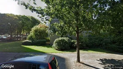 Apartments for rent in Haarlem - Photo from Google Street View