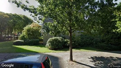 Apartments for rent in Haarlem - Photo from Google Street View