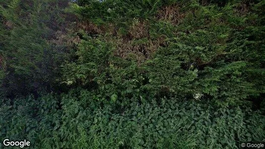 Apartments for rent in Tubeke - Photo from Google Street View