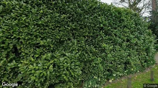 Apartments for rent in Cobham - Surrey - Photo from Google Street View