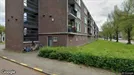Apartment for rent, Arnhem, Gelderland, Van Nesstraat
