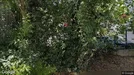 Room for rent, Capriva del Friuli, Friuli-Venezia Giulia, Rue du Vercors