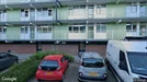 Apartment for rent, Groningen, Groningen (region), Parelstraat