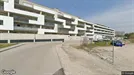 Apartment for rent, Bad Fischau-Brunn, Niederösterreich, Anni Stern-Braunberg-Gasse<span class="blurred street-number" onclick="ProcessAdRequest(16506562)"><span class="hint">See no.</span>[xxxxxx]</span>