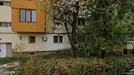 Apartment for rent, Baia Mare, Nord-Vest, Bulevardul Regele Ferdinand<span class="blurred street-number" onclick="ProcessAdRequest(16762298)"><span class="hint">See no.</span>[xxxxxx]</span>