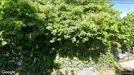 Room for rent, Oslo Vestre Aker, Oslo, Elvefaret<span class="blurred street-number" onclick="ProcessAdRequest(17011047)"><span class="hint">See no.</span>[xxxxxx]</span>