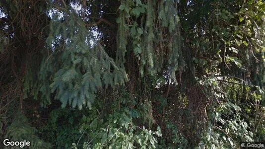 Apartments for rent in Fußach - Photo from Google Street View