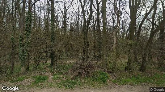 Apartments for rent in Dumbrăviţa - Photo from Google Street View