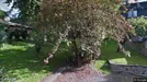 Room for rent, Oslo Ullern, Oslo, Sollerudveien<span class="blurred street-number" onclick="ProcessAdRequest(17430202)"><span class="hint">See no.</span>[xxxxxx]</span>