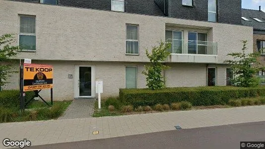 Apartments for rent in Lint - Photo from Google Street View
