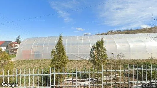 Apartments for rent in Apahida - Photo from Google Street View