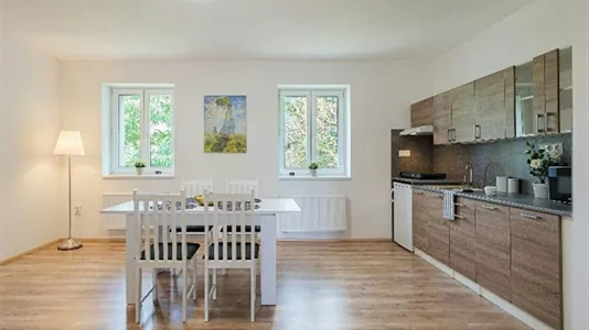 Rooms in Ostrava-město - photo 6