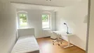 Room for rent, Potsdam, Brandenburg, Geschwister-Scholl-Straße