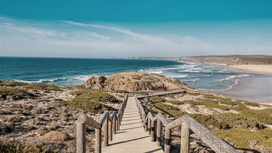 Houses in Odemira - photo 6