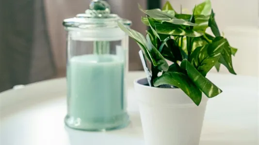 Rooms in Brussels Anderlecht - photo 7