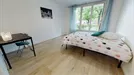 Room for rent, Lyon, Auvergne-Rhône-Alpes, Rue Alfred Brinon